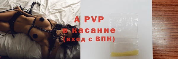 крисы Зерноград