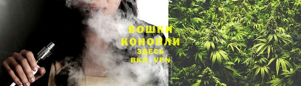 крисы Зерноград