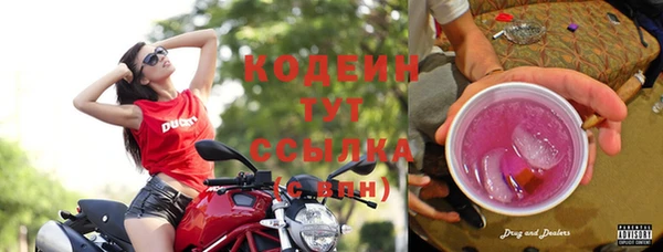 крисы Зерноград