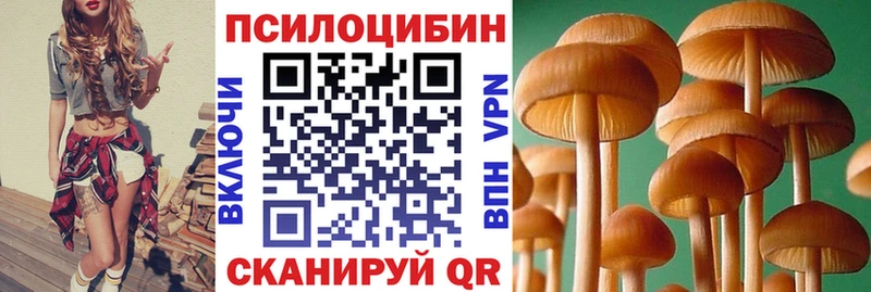 Купить  Любим  Псилоцибиновые грибы MAGIC MUSHROOMS 